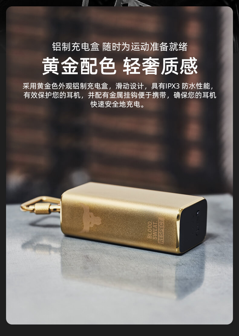 JBL UA Project Rock 强森 真无线蓝牙运动耳机 牛头安德玛无限耳塞